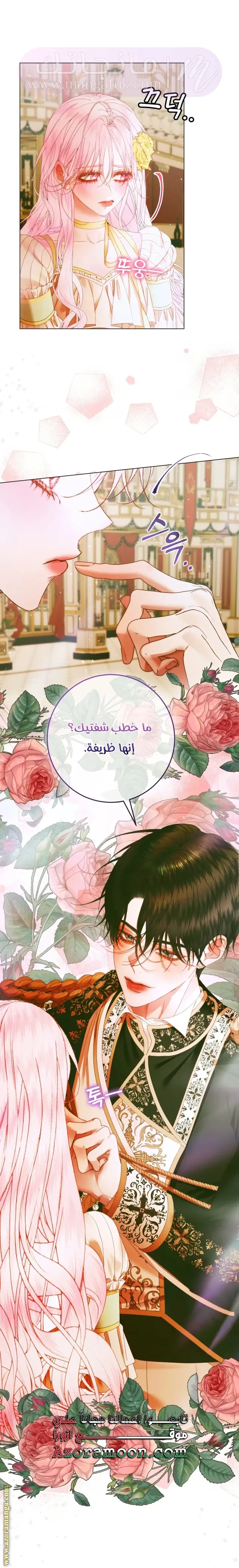 الصفحة 24