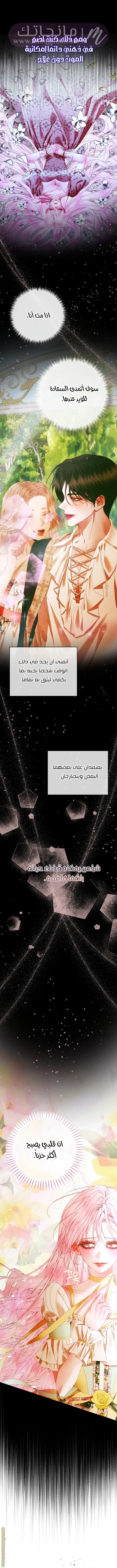 الصفحة 28