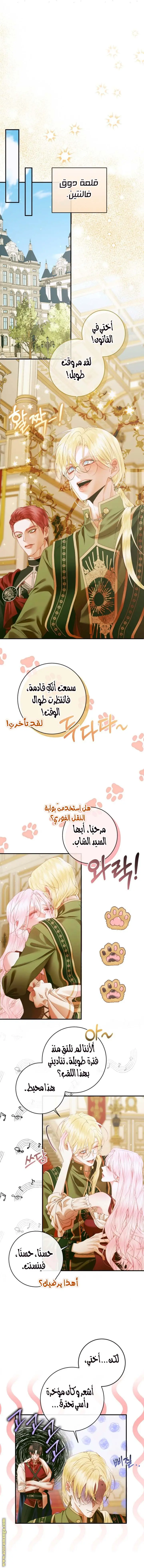 الصفحة 10