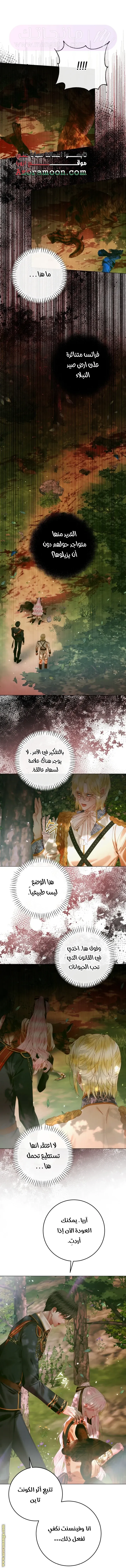 الصفحة 13