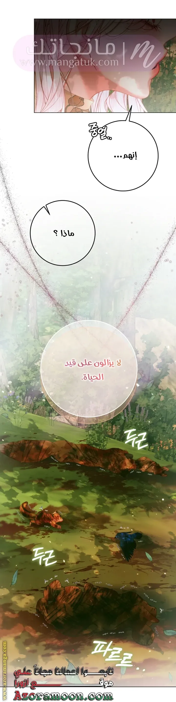 الصفحة 14