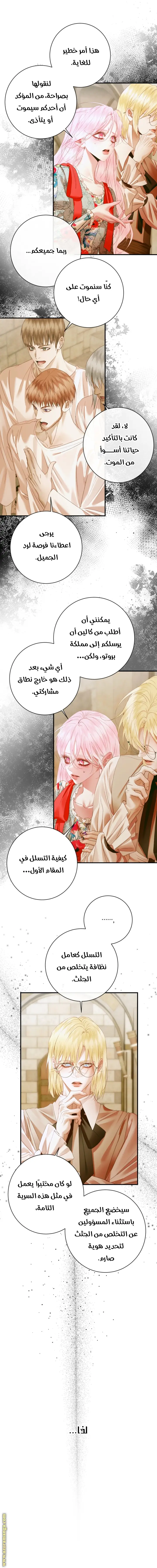 الصفحة 13