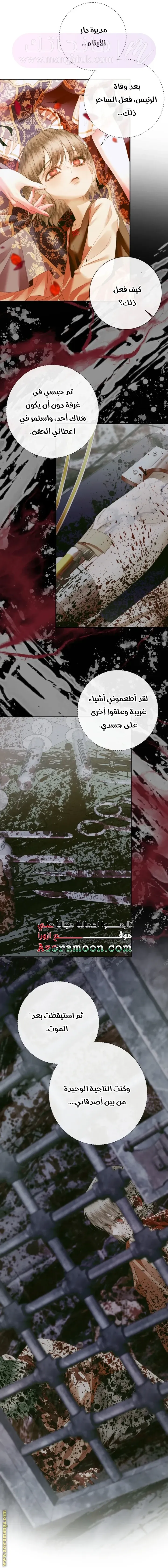 الصفحة 14
