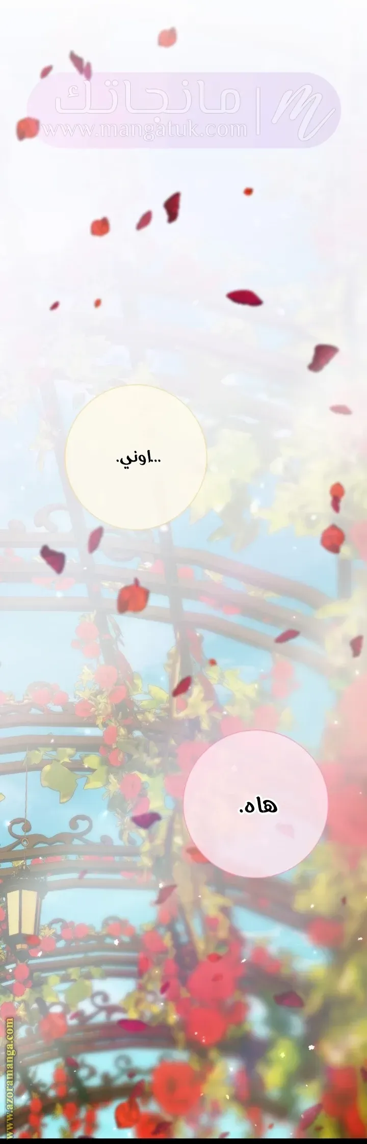 الصفحة 16