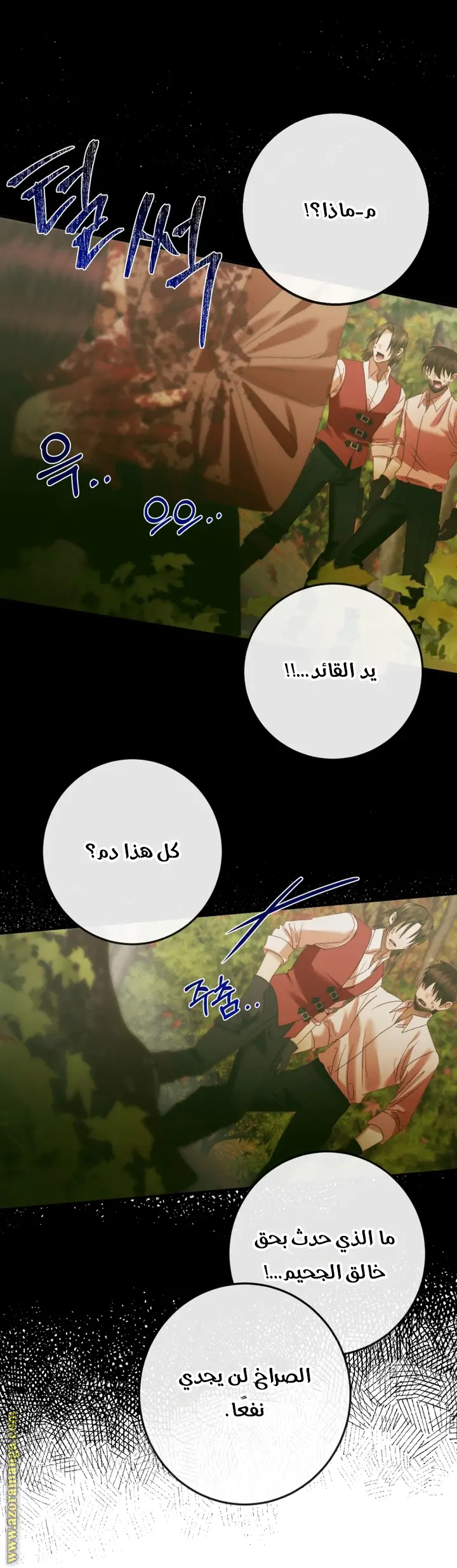 الصفحة 11