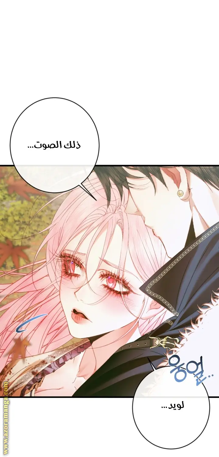 الصفحة 26