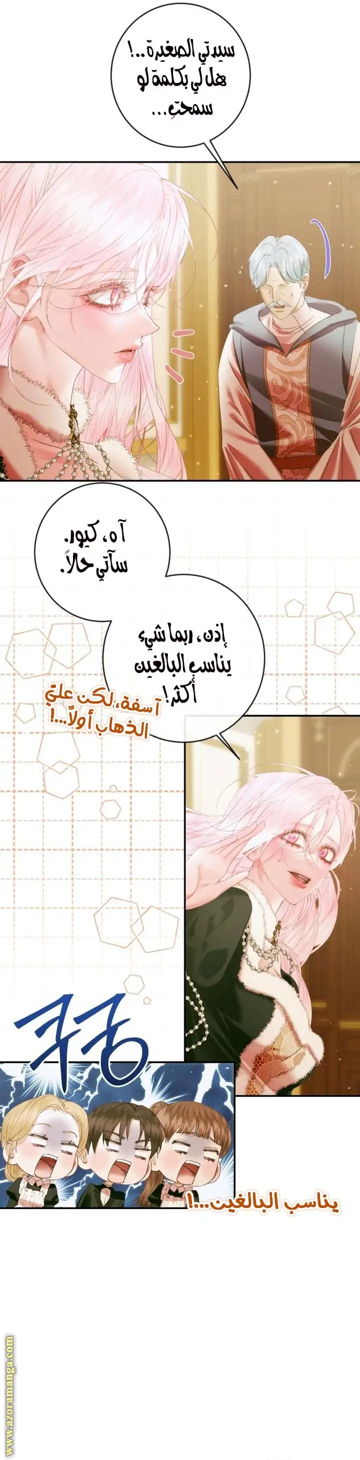 الصفحة 17