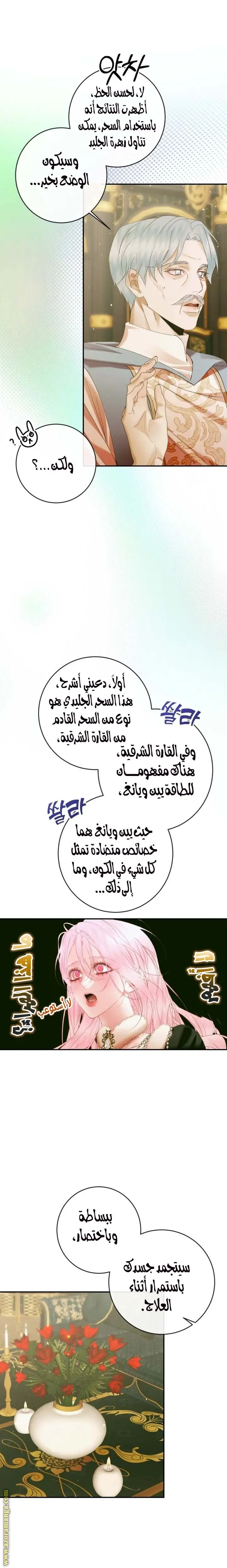 الصفحة 20