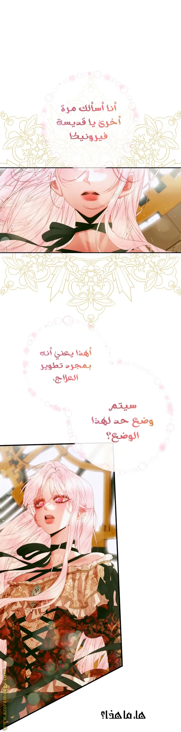 الصفحة 3
