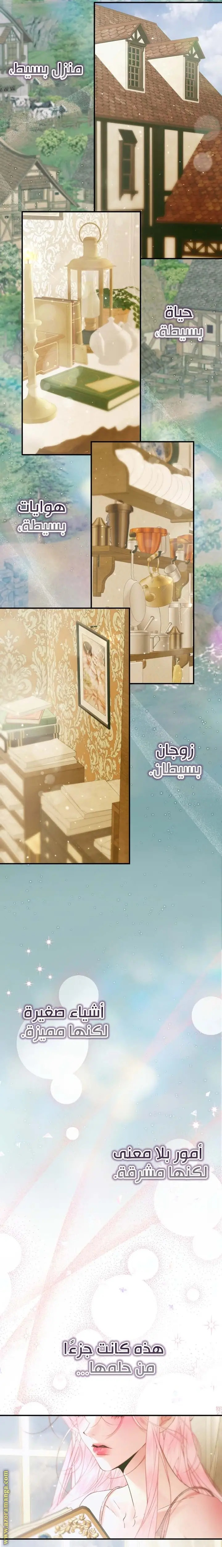 الصفحة 17