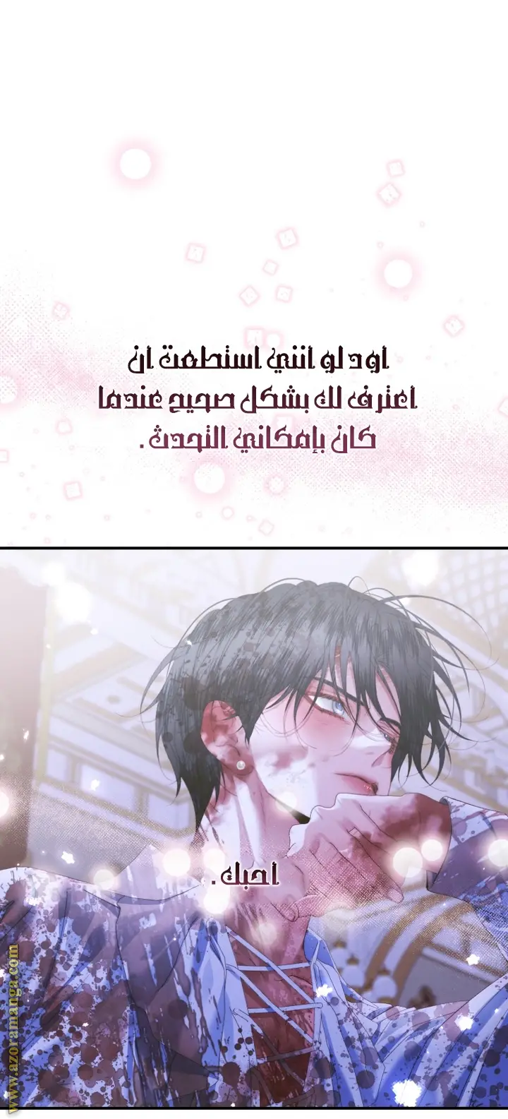 الصفحة 12