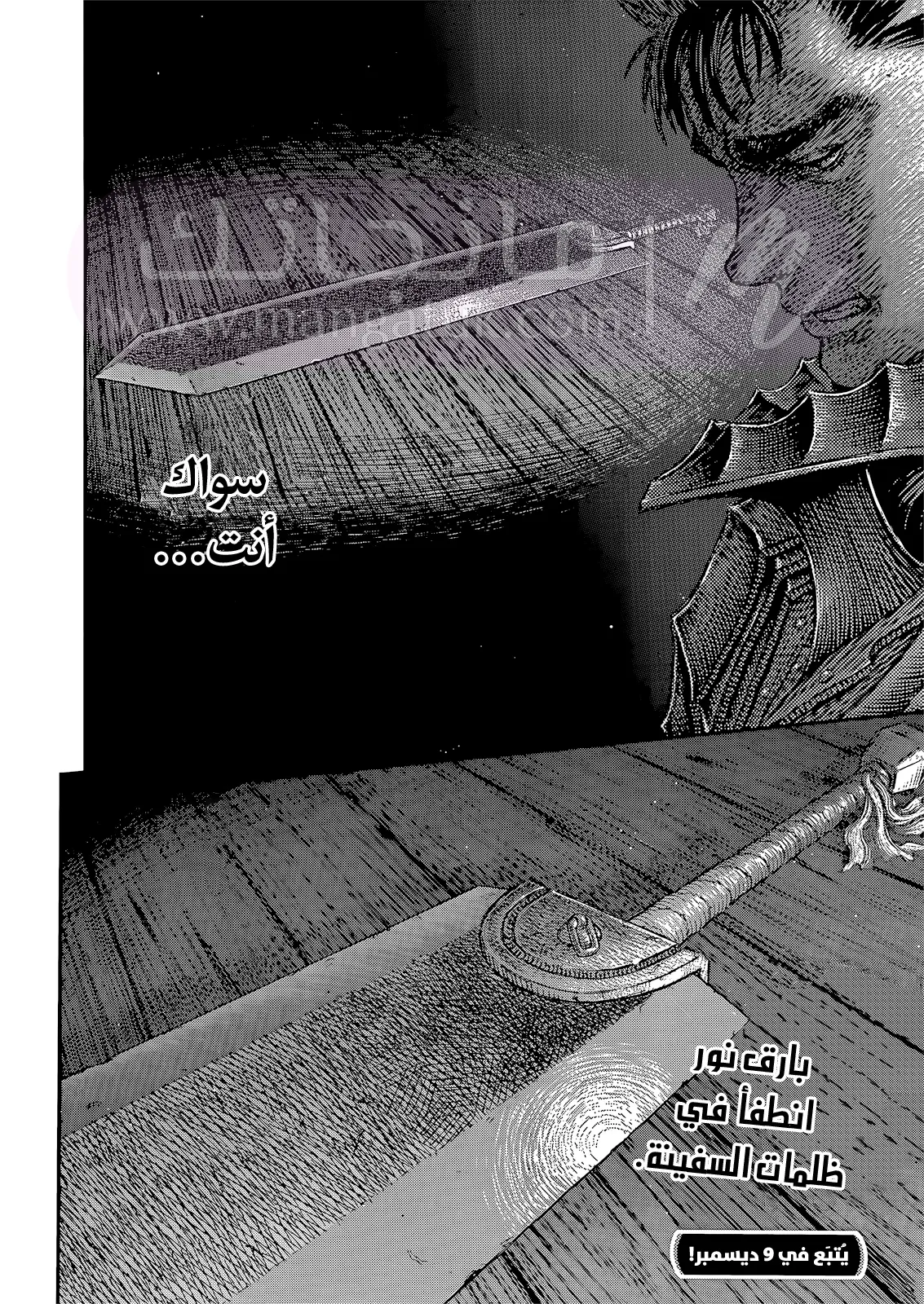 الصفحة 17