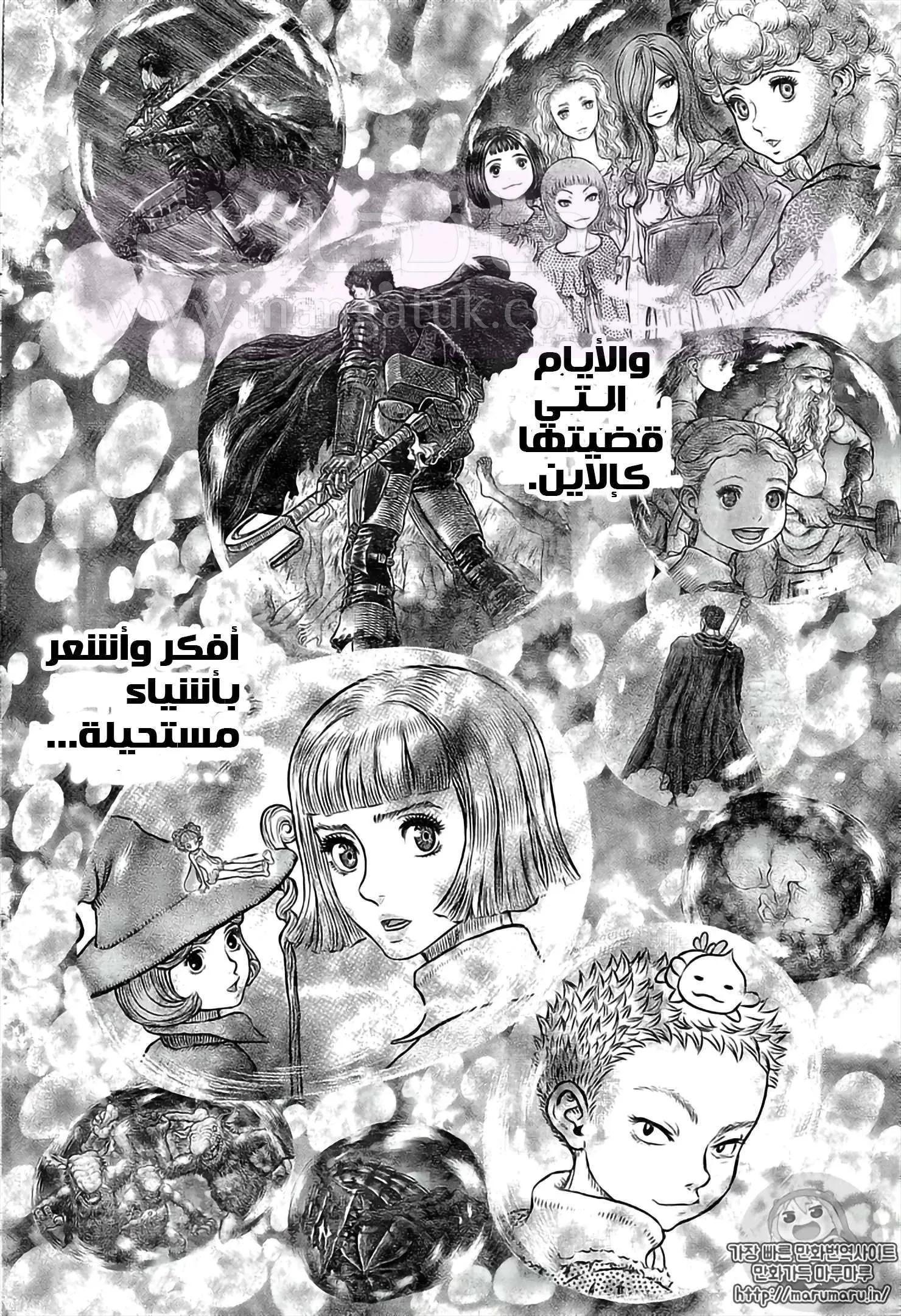 الصفحة 13