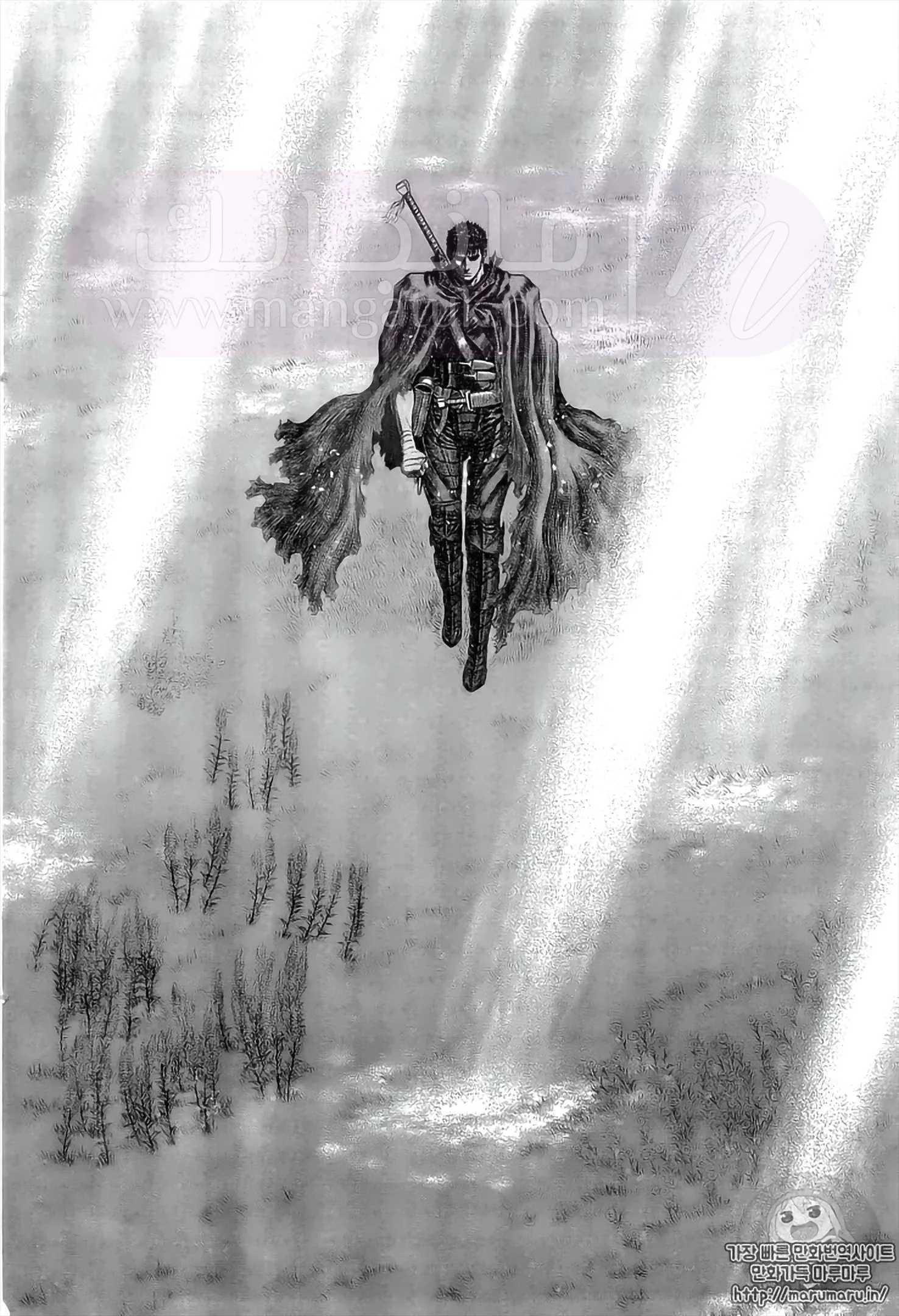 الصفحة 17