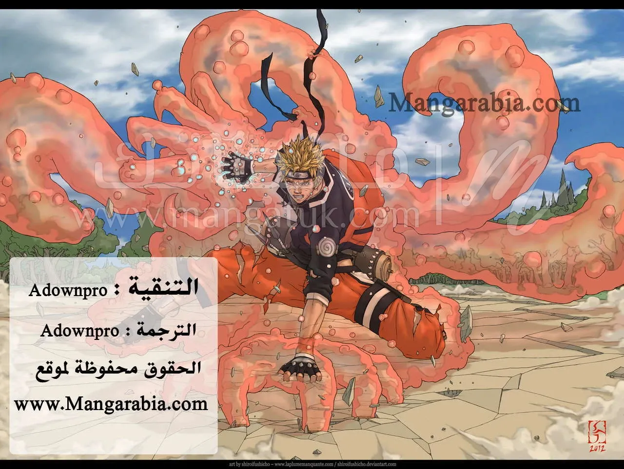 الصفحة 17