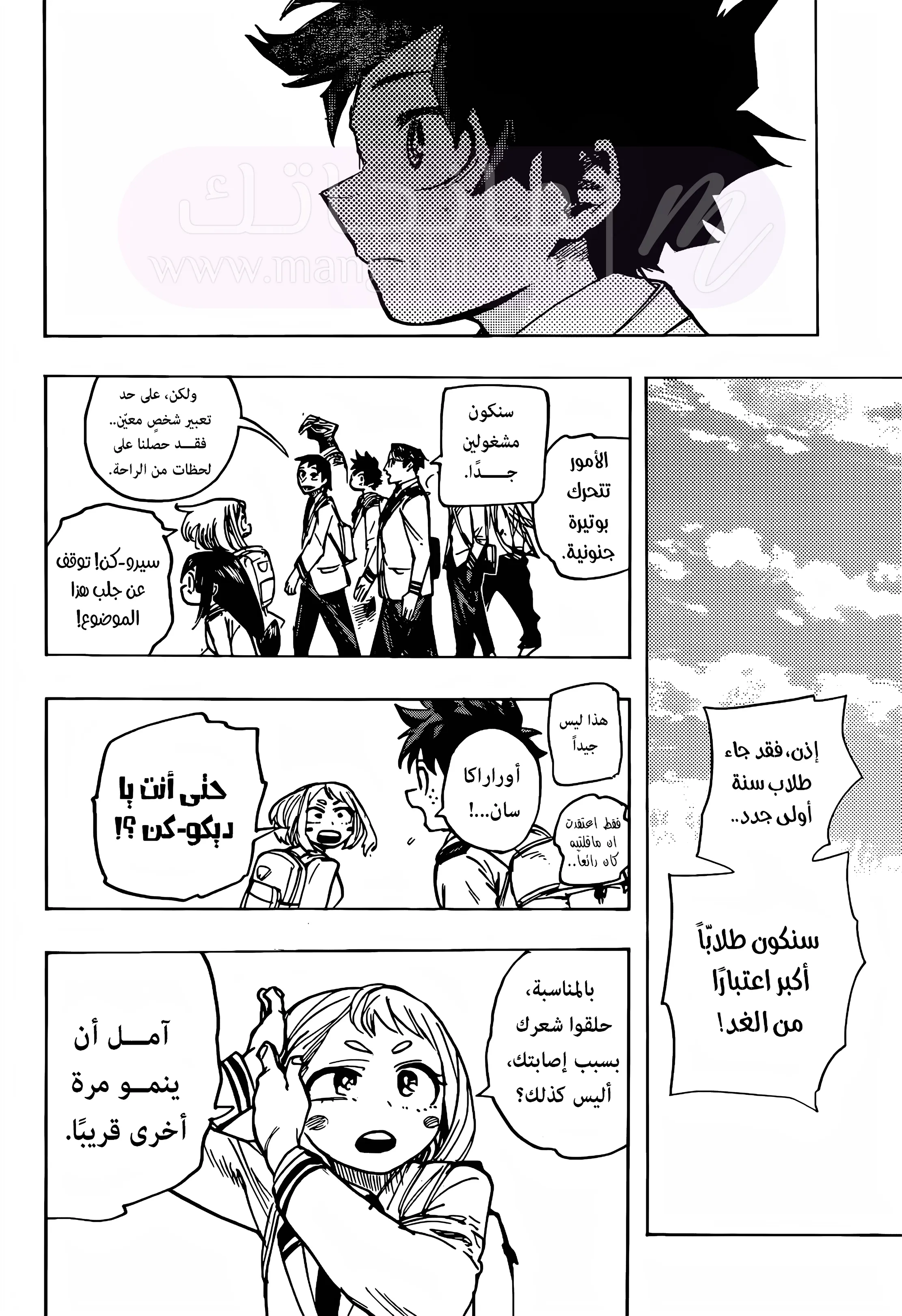 الصفحة 13