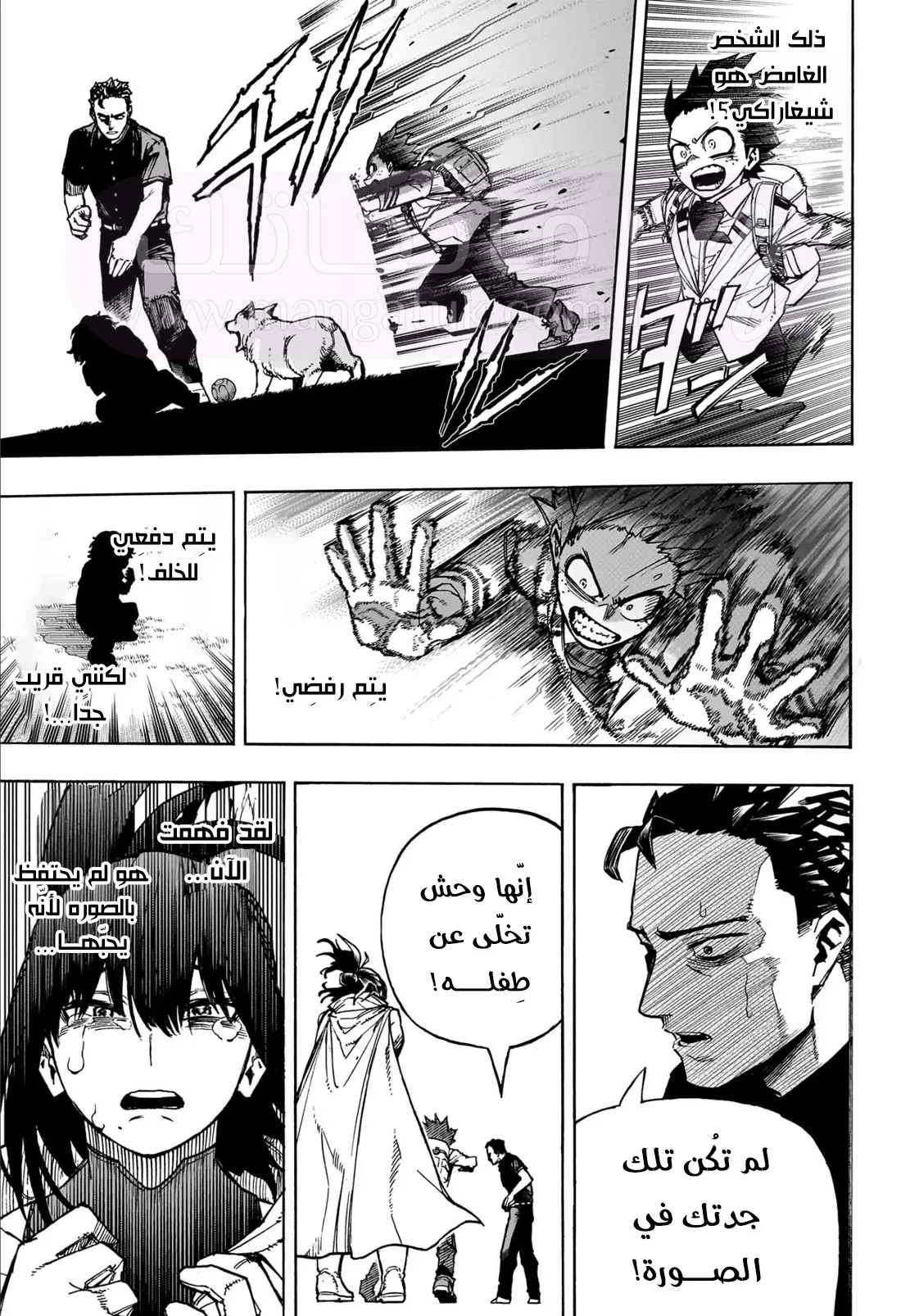 الصفحة 11