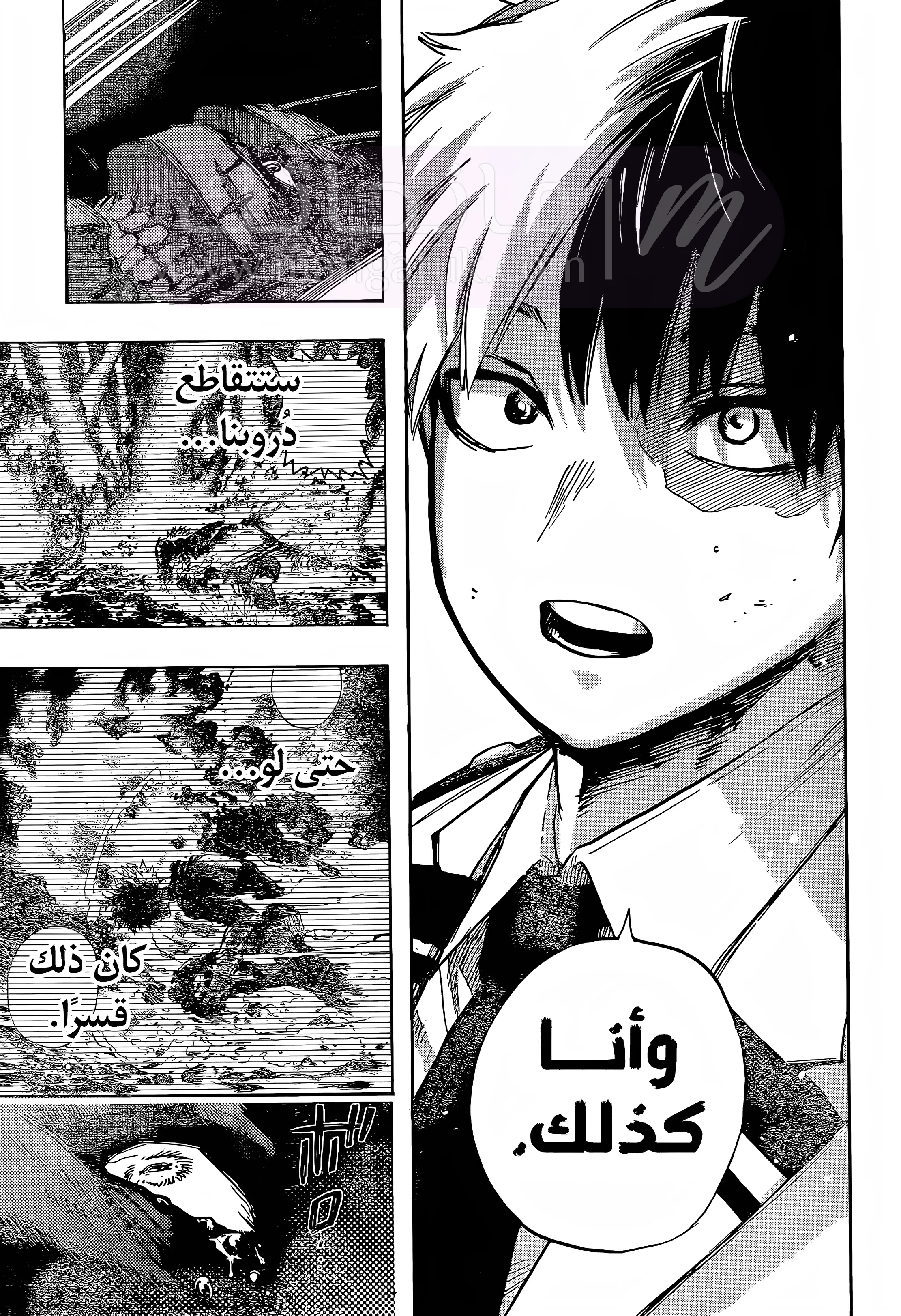 الصفحة 10