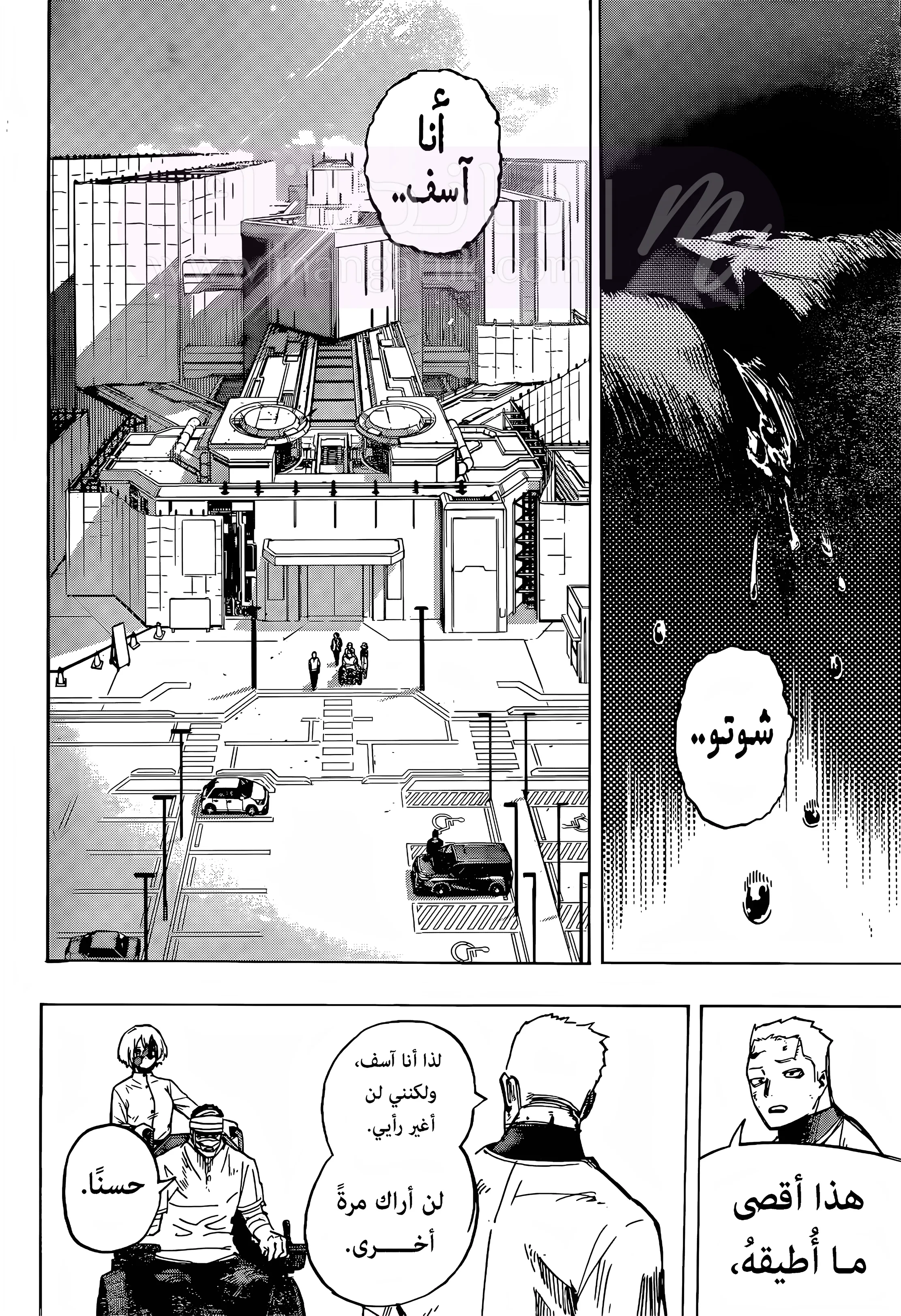 الصفحة 11