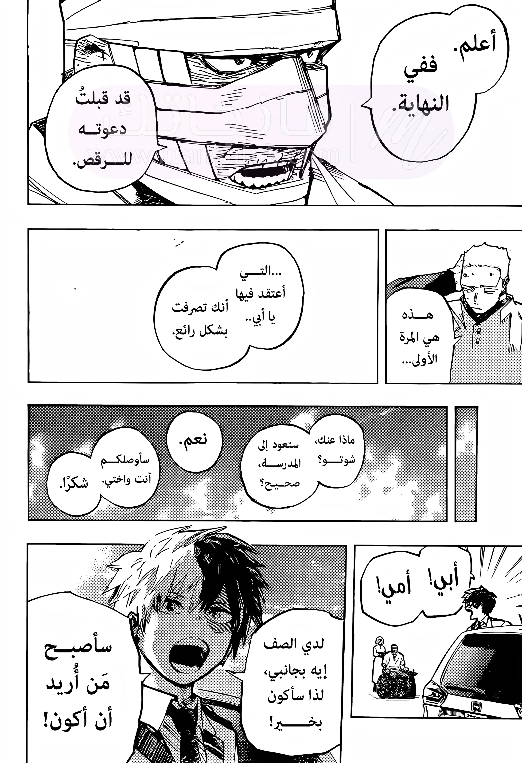 الصفحة 13