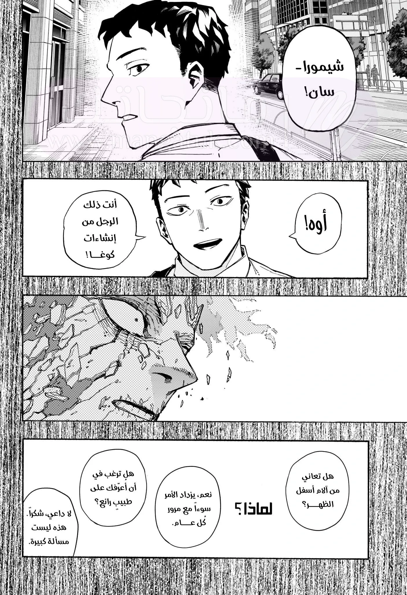 الصفحة 13