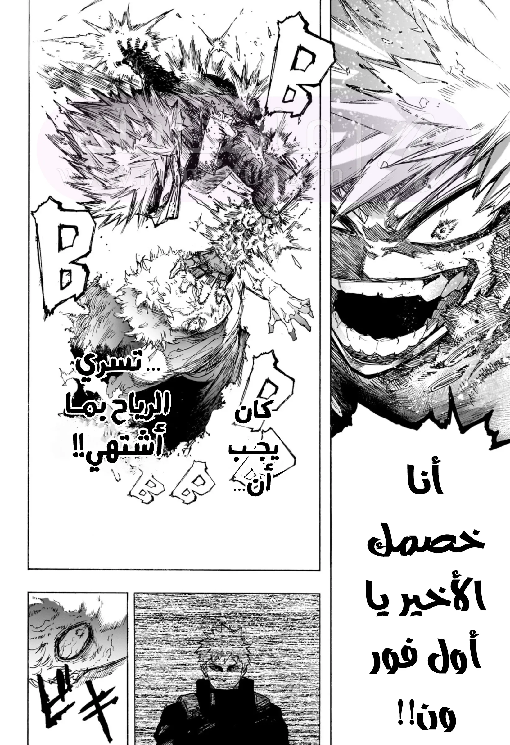 الصفحة 14