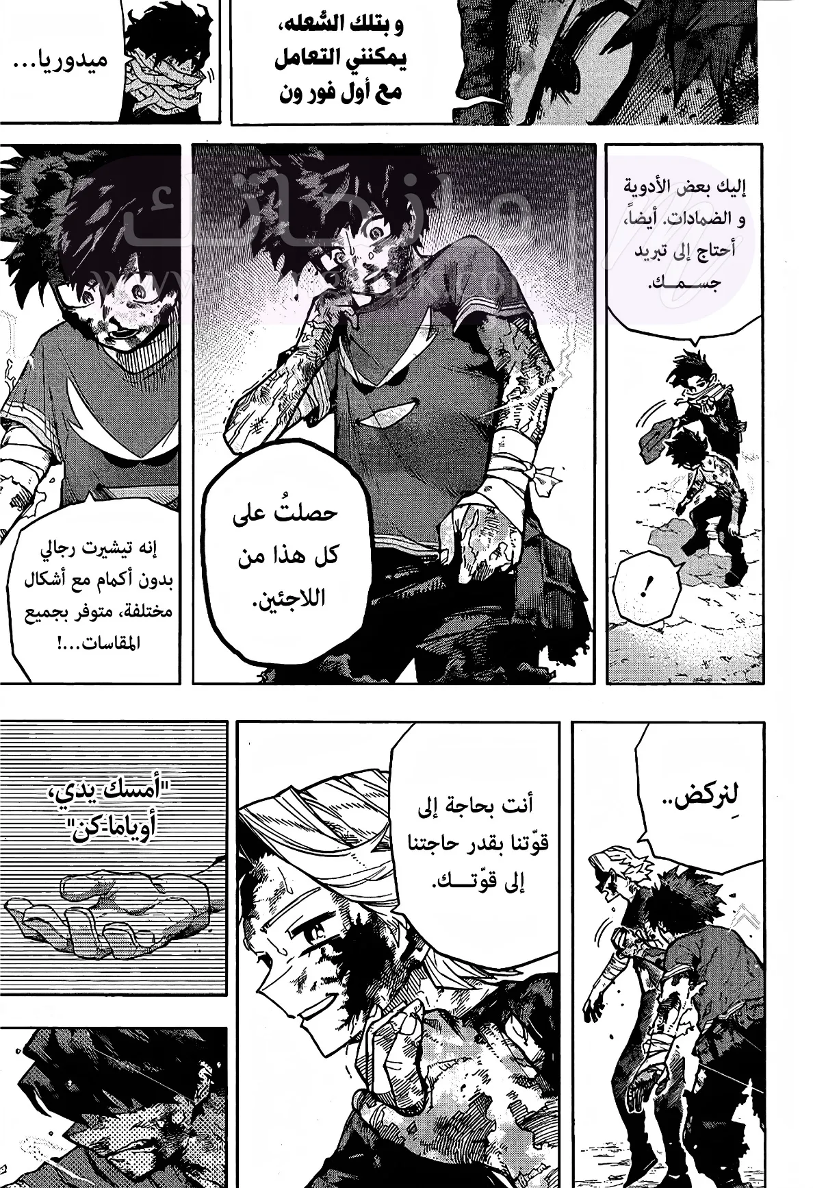 الصفحة 11