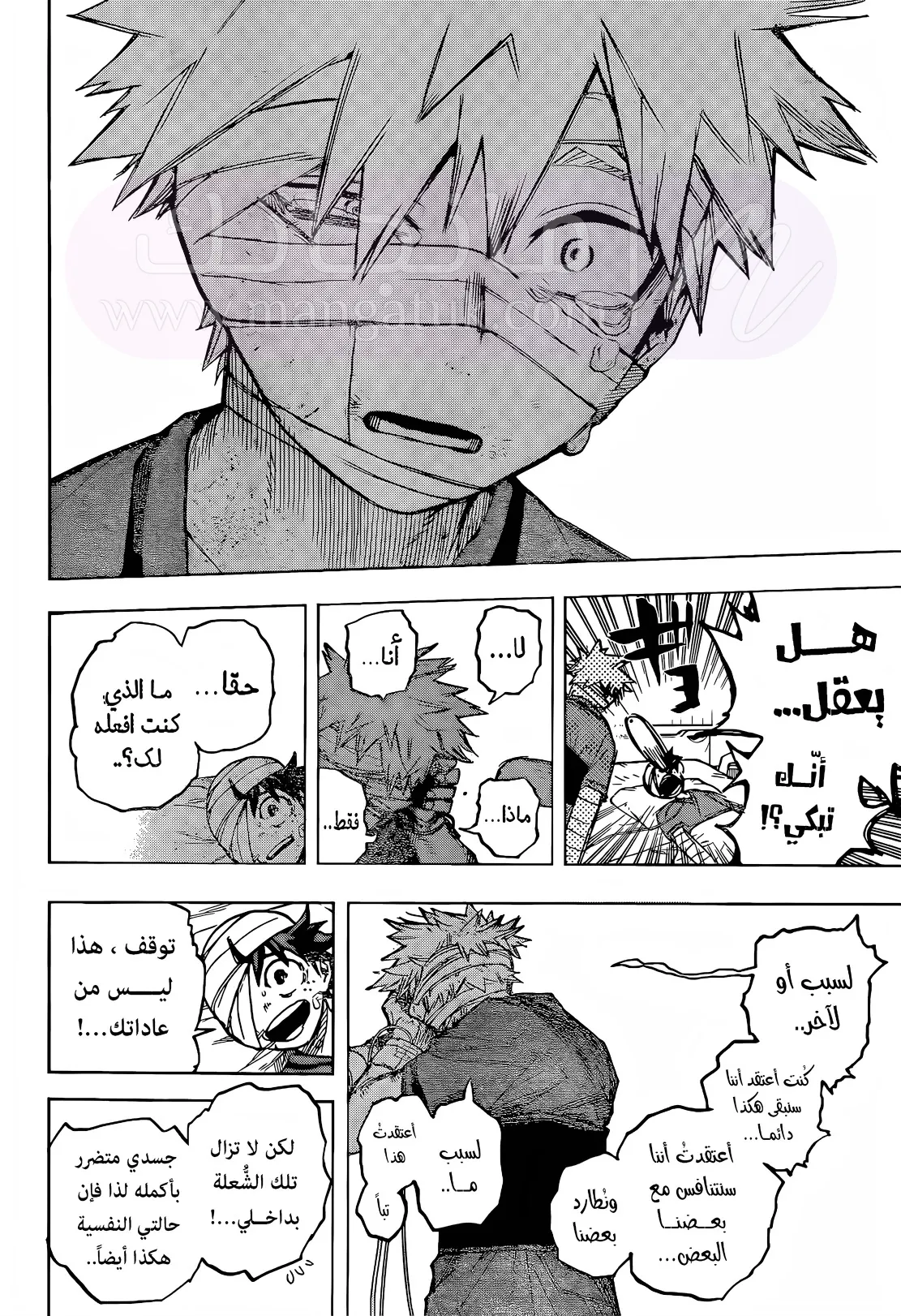الصفحة 12