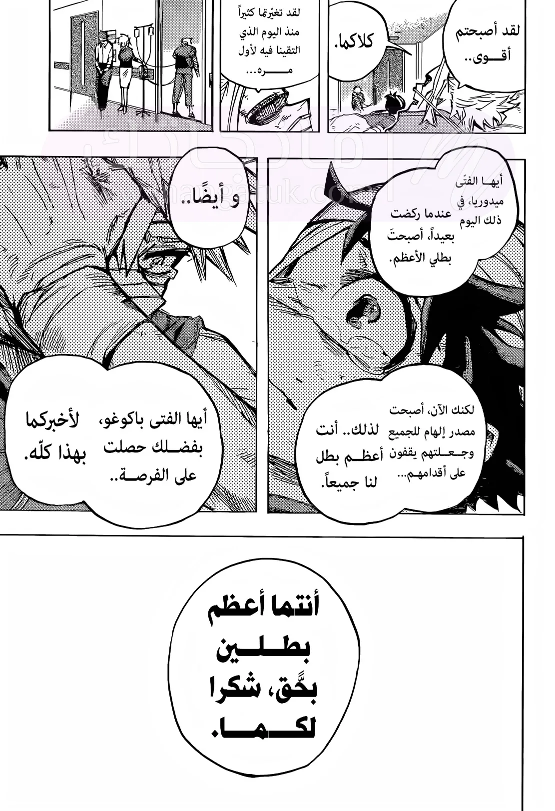 الصفحة 13