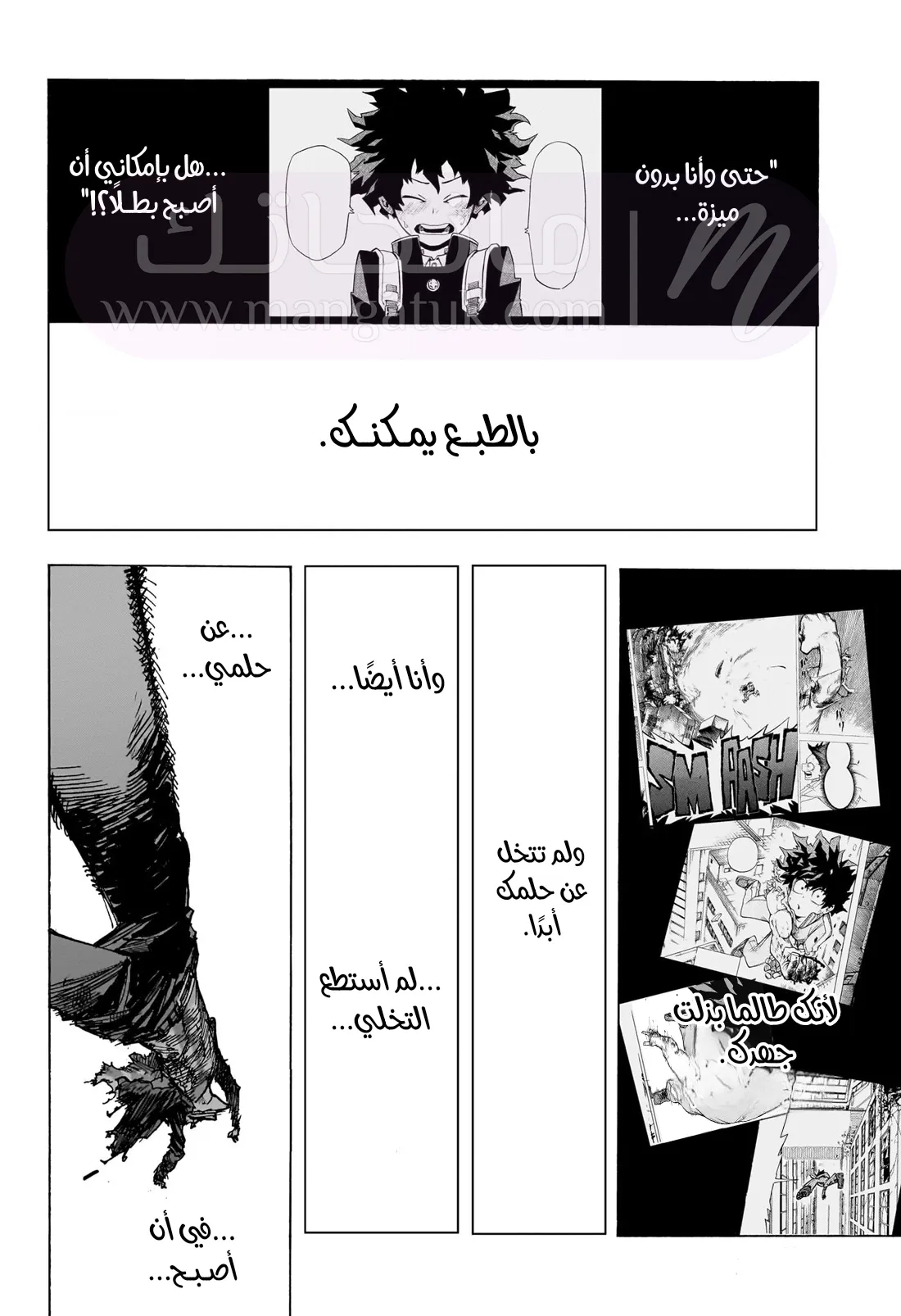 الصفحة 13