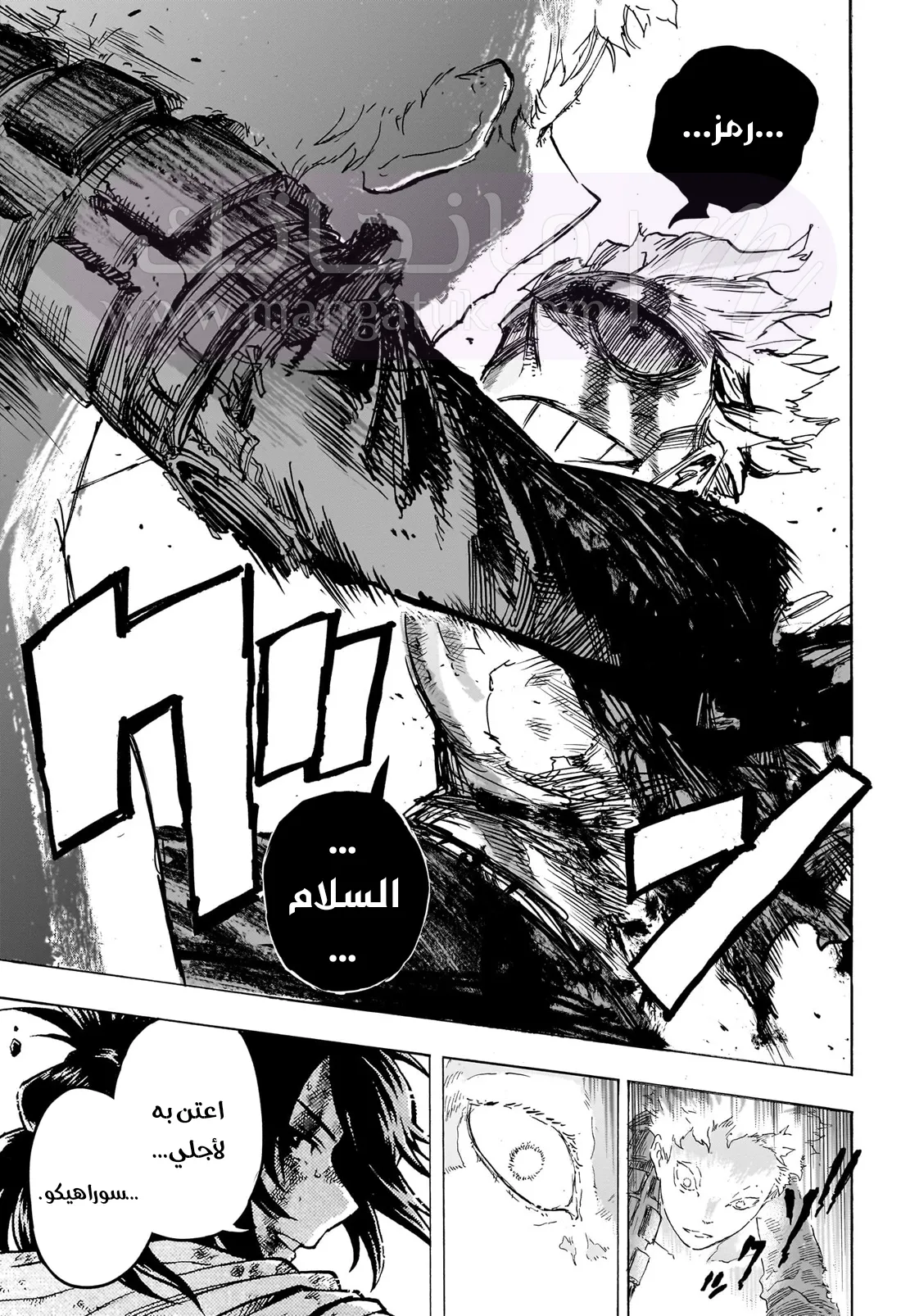 الصفحة 14