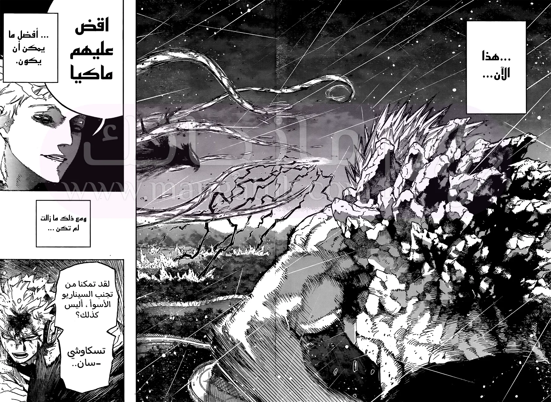 الصفحة 13