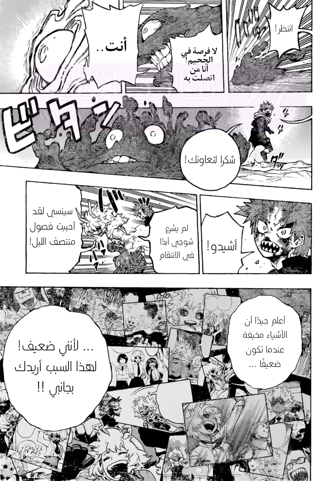 الصفحة 12