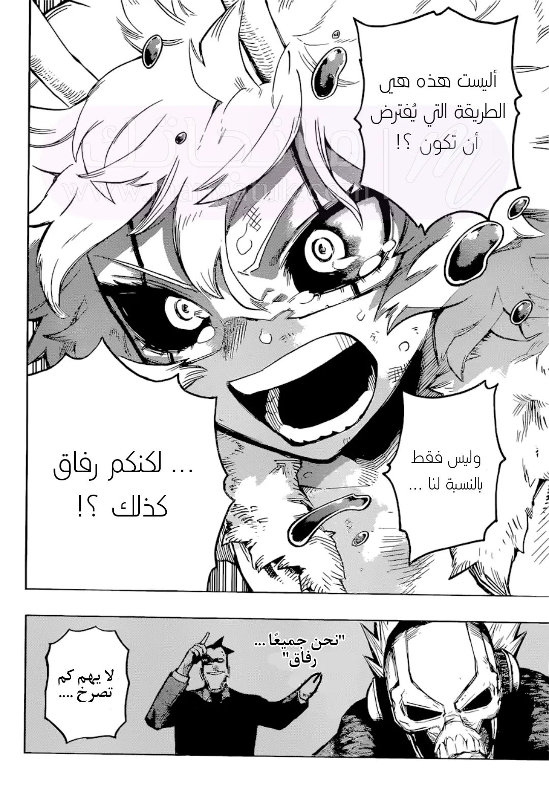 الصفحة 13