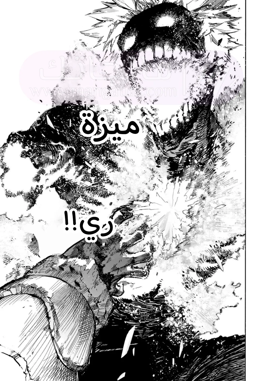 الصفحة 12