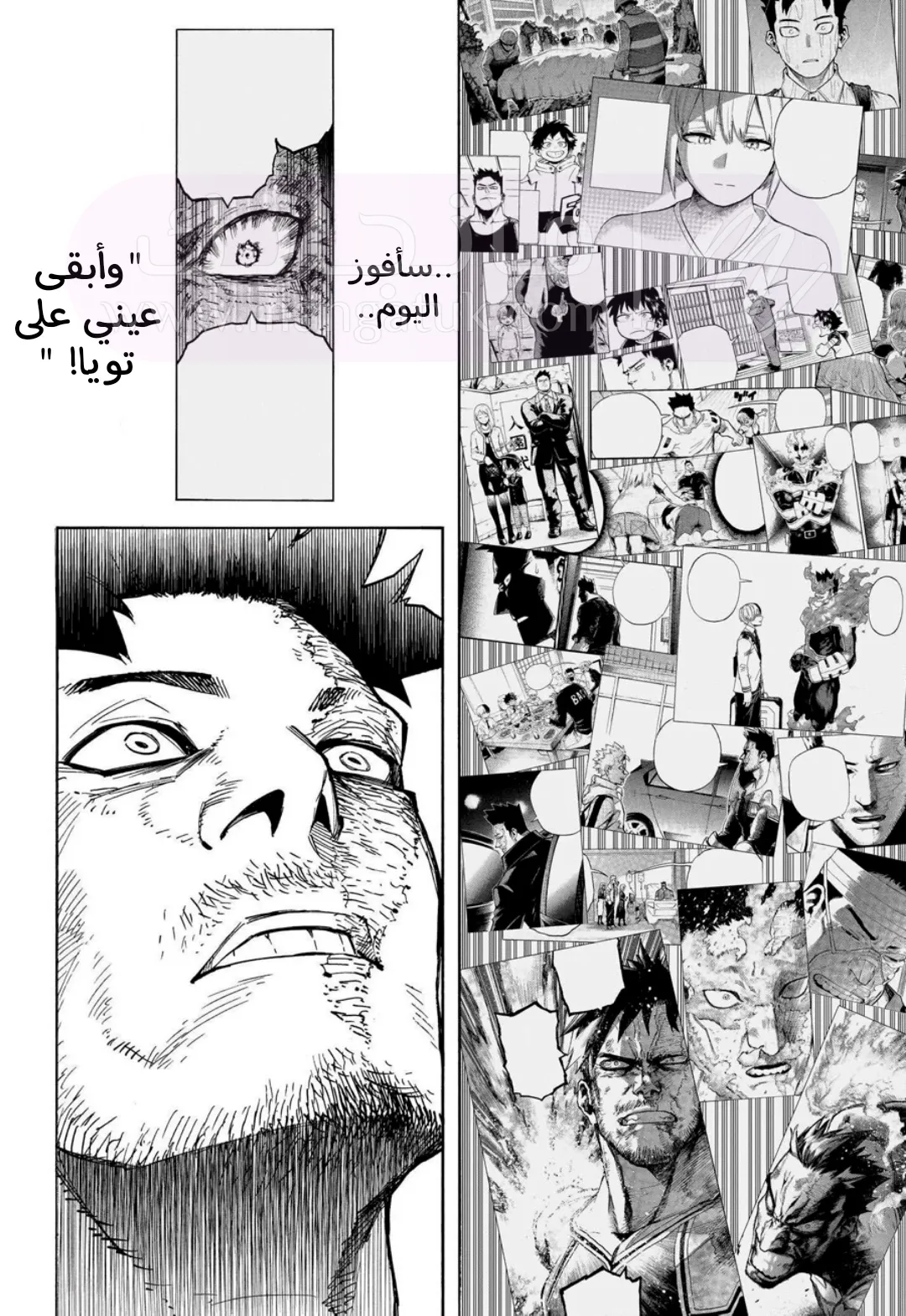 الصفحة 13