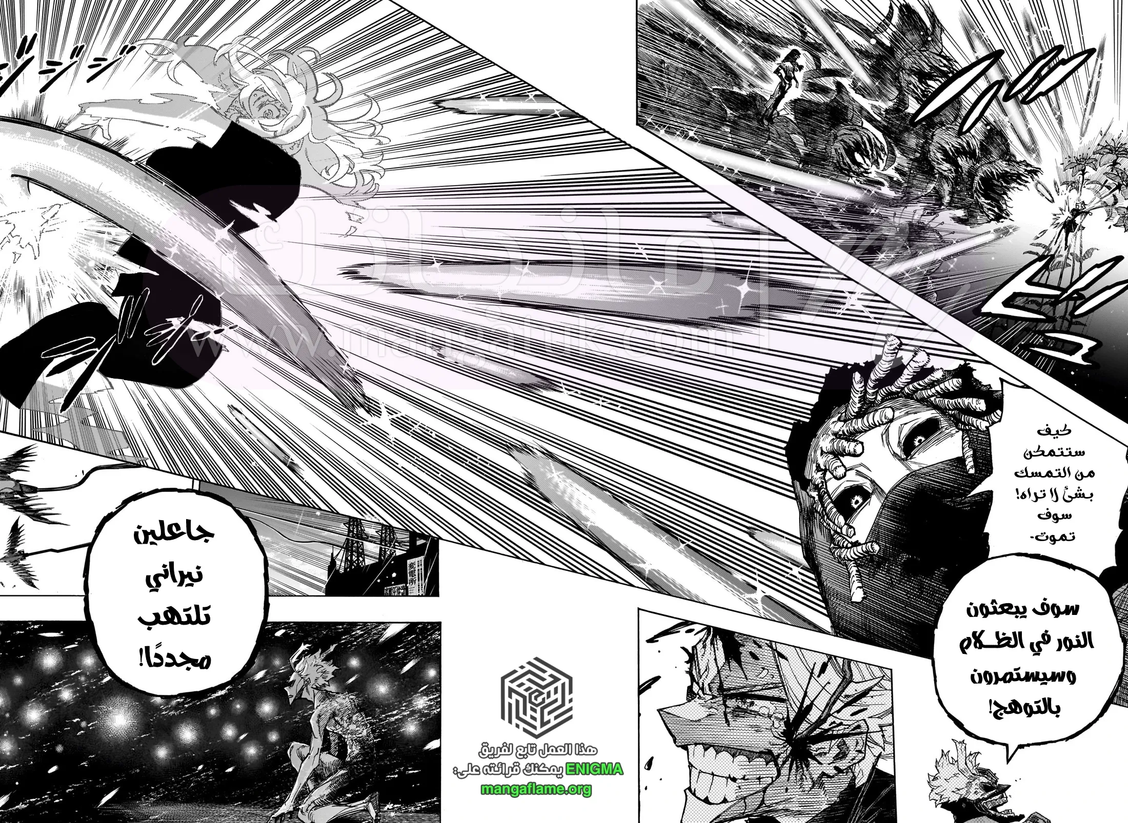 الصفحة 13