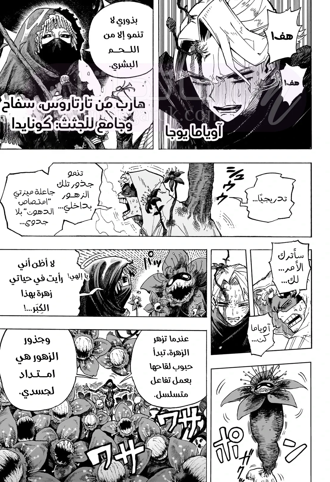 الصفحة 16
