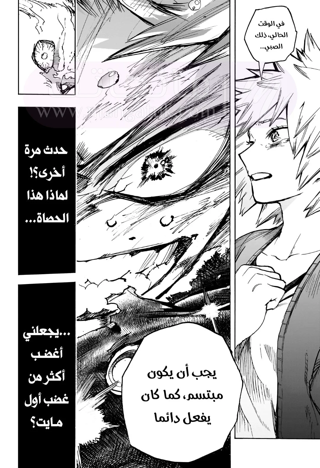 الصفحة 13