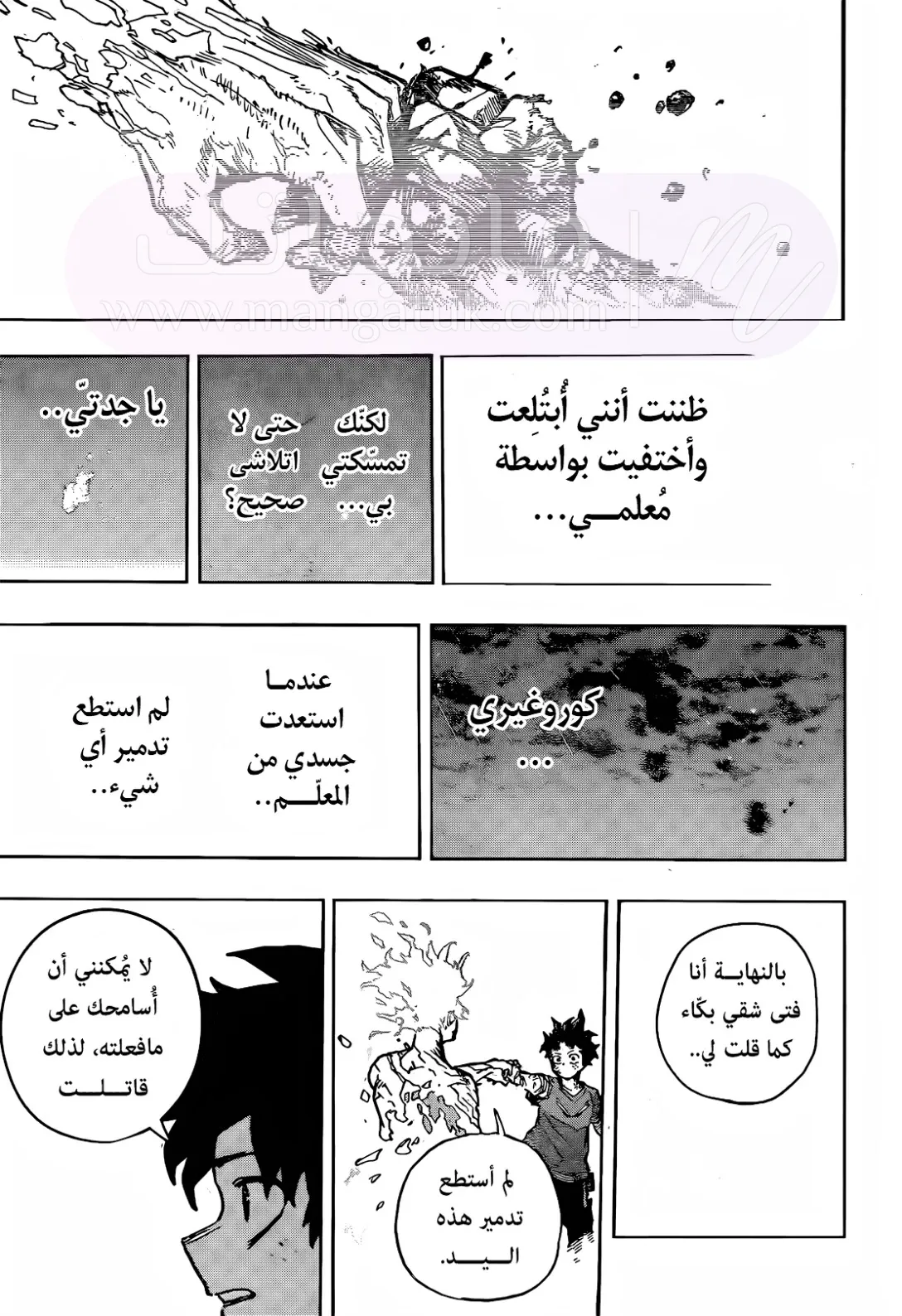 الصفحة 13