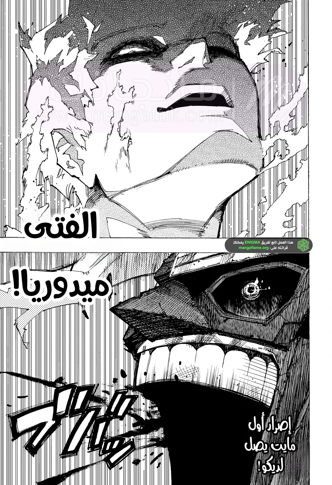 الصفحة 13