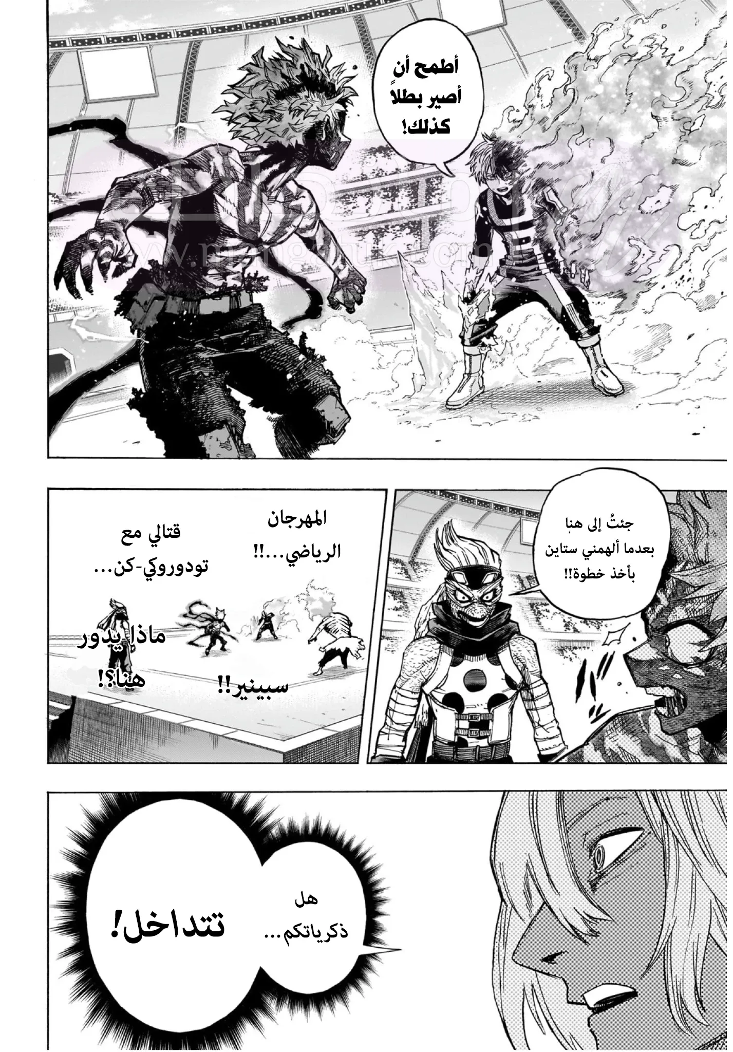 الصفحة 14