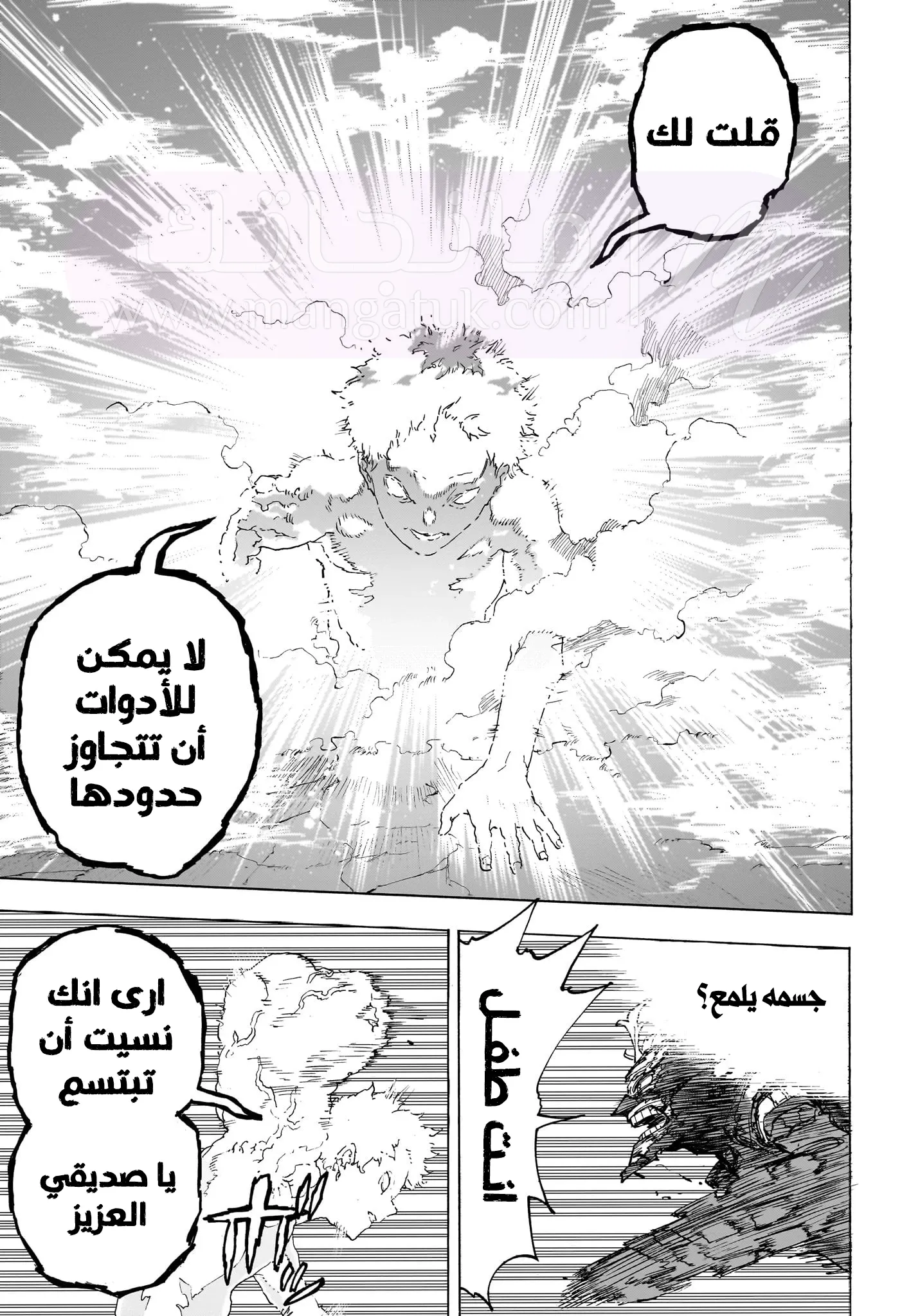 الصفحة 13