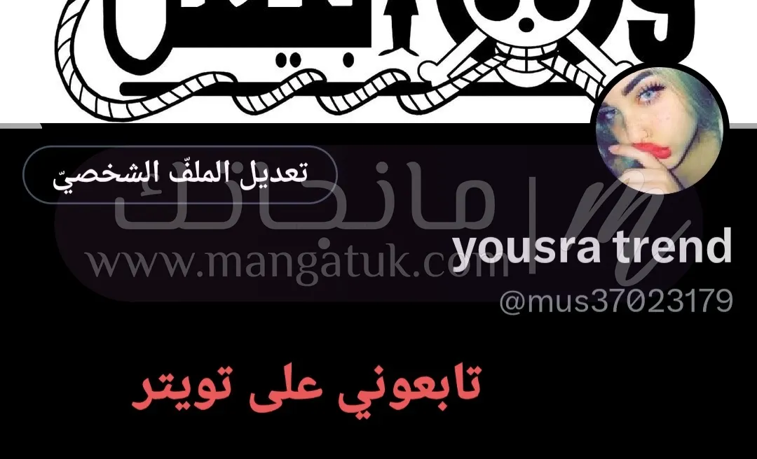 الصفحة 17