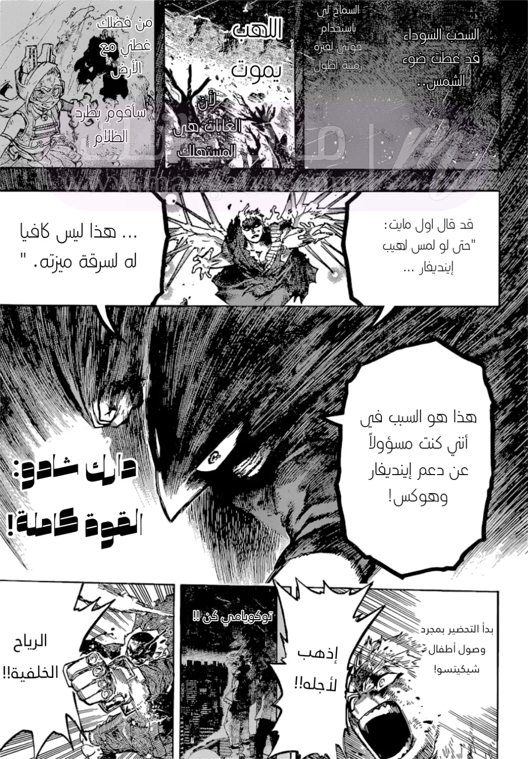 الصفحة 14