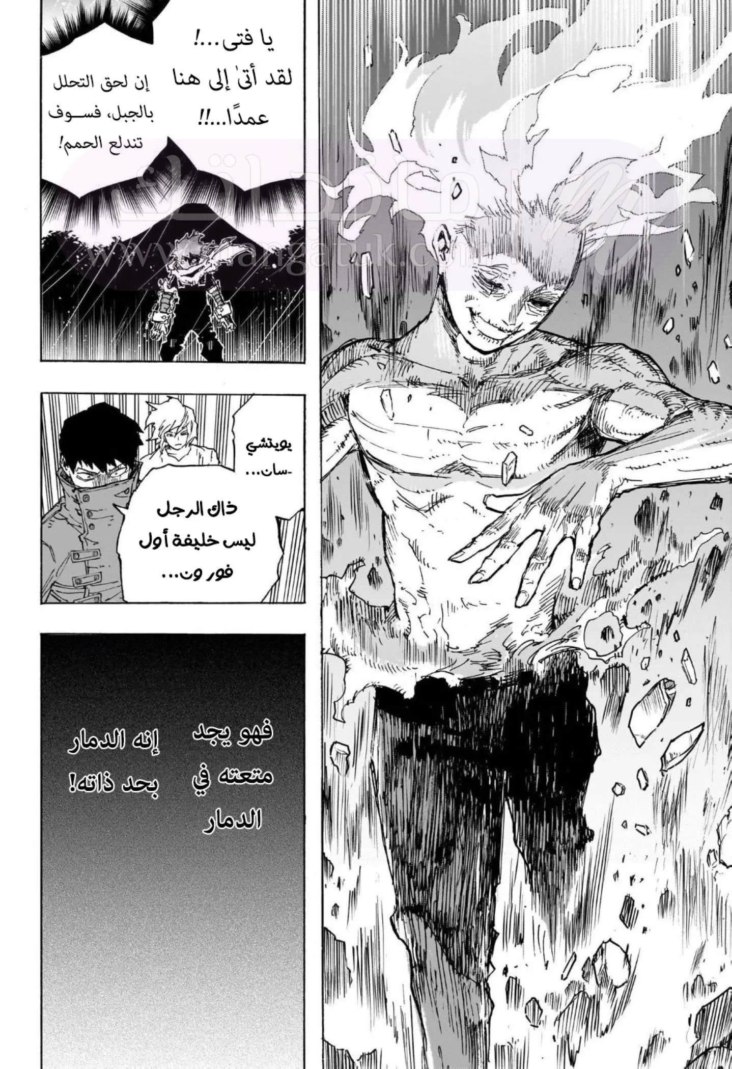 الصفحة 12