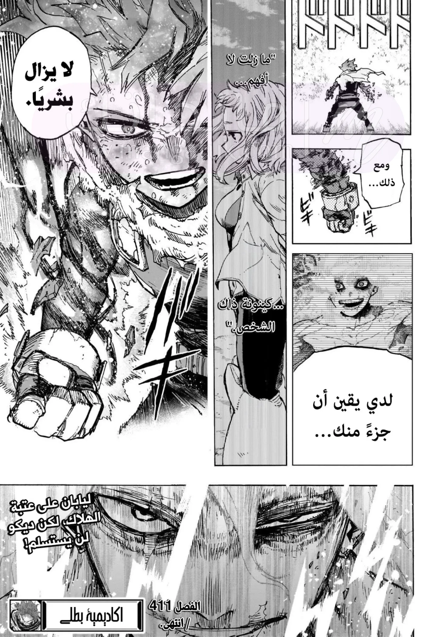 الصفحة 13