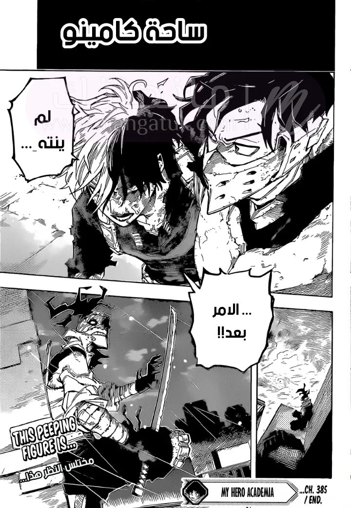 الصفحة 17