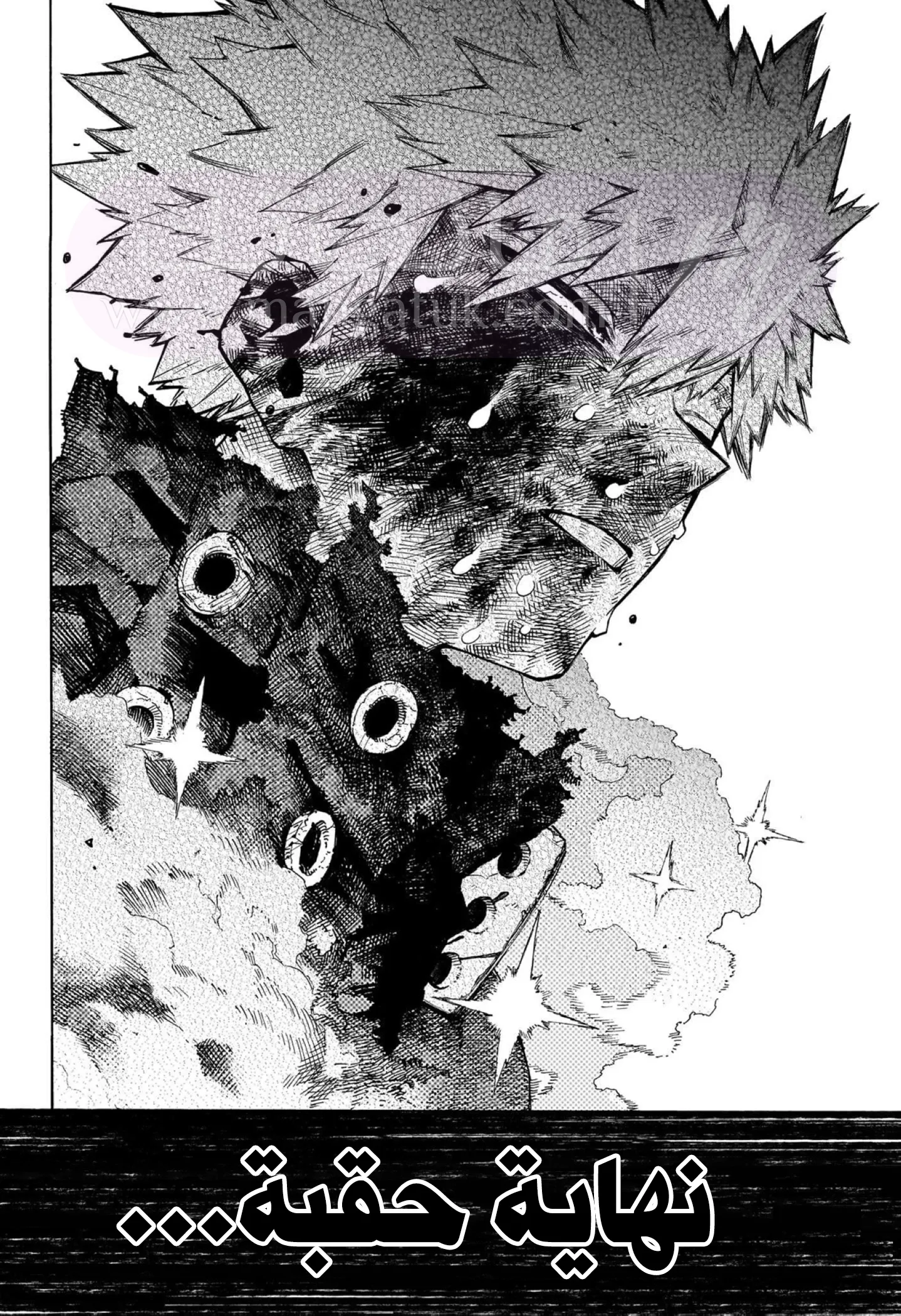 الصفحة 14