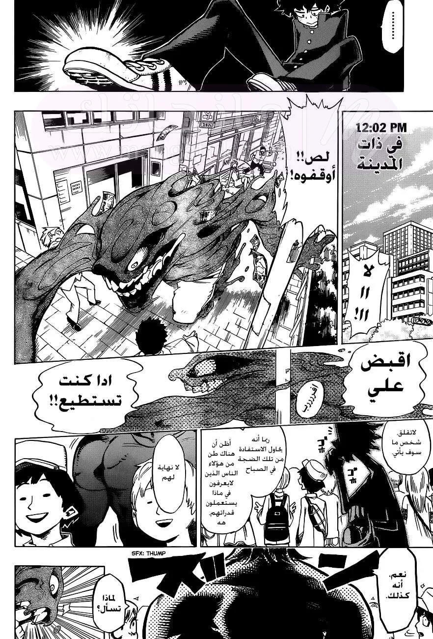الصفحة 13